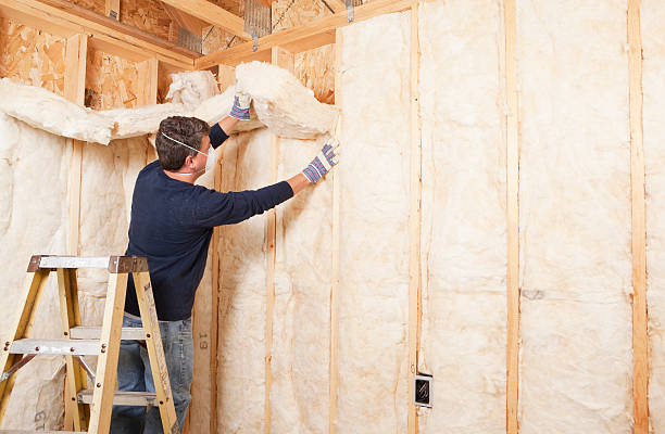 Best Attic Insulation Installation  in Nederland, TX